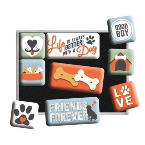 Magnet Set Everthing is better
